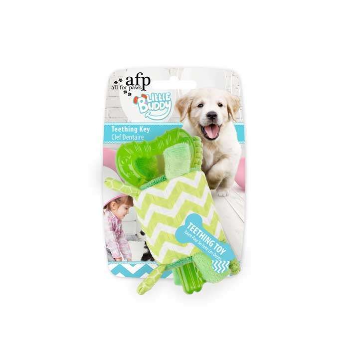 Bild 1 von All for Paws Little Buddy - Teething Key Grün