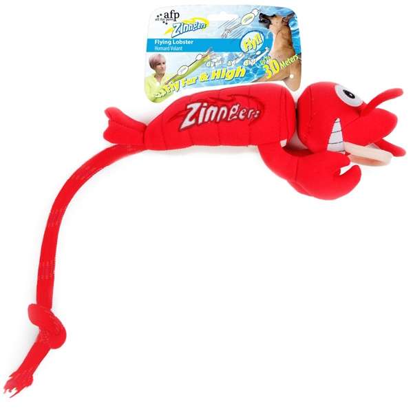 Bild 1 von All for Paws Chill Out Zinngers Hummer mit Schleuder