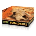 Bild 1 von EXOTERRA Buffalo Skull