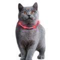 Bild 3 von Karlie Visio Light Cat LED-Schlauch mit USB - Grau