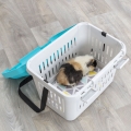 Bild 7 von Trixie Transportbox Midi-Capri