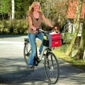 Bild 1 von Karlie Hundetransportkorb DOGGY TRAVEL JUNIOR