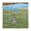 Bild 2 von Kerbl Freigehege mit Ausbruchsperre