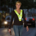 Bild 1 von Karlie ASP DAY & NIGHT Reflexweste
