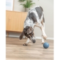 Bild 3 von Trixie Labyrinth-Snacky Naturgummi-Snackball  / (Variante) 7 cm