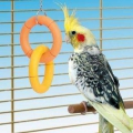 Bild 2 von Karlie Boomer Bird Swing 9 cm